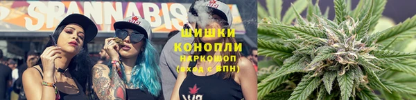 гидропоника Богородицк